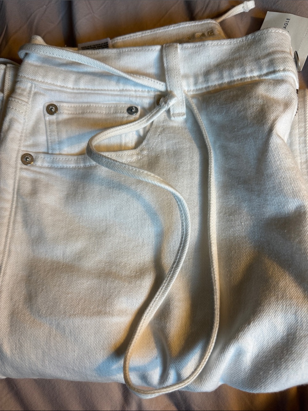American eagle - Picture 10 of 10